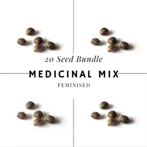 Medicinal Indica Mix Feminised cannabis seeds - 20 seeds
