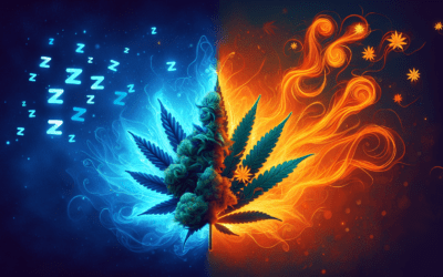 Cannabis For Sleep: The Pros and Cons