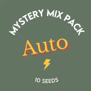 Mystery Mix Pack- Auto | 10 seeds