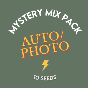 MYSTERY AUTO PHOTO mix pack- sacred seeds
