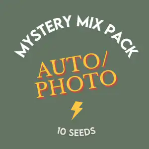 MYSTERY AUTO PHOTO mix pack- sacred seeds
