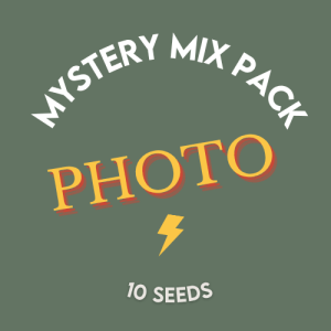 MIX PACK PHOTOPERIOD SEEDS