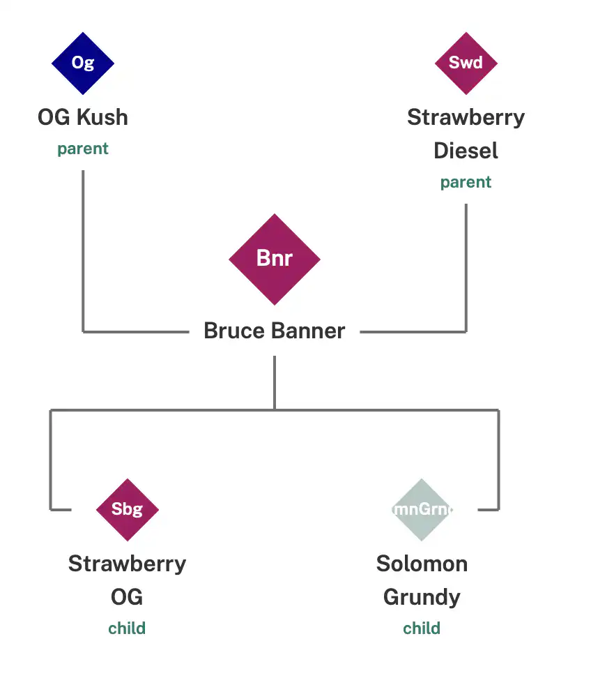 bruce banner fast version lineage