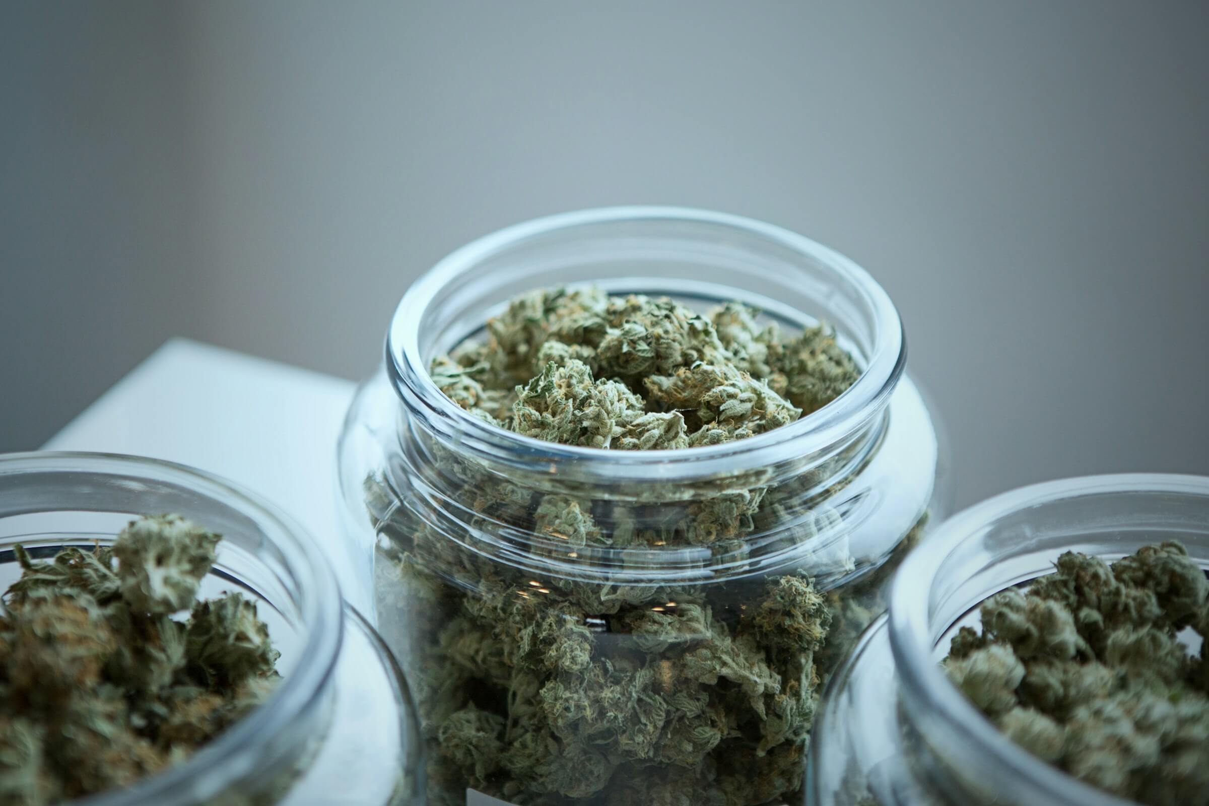 Cannabis seeds stored in airtight glass jar showing proper long-term storage