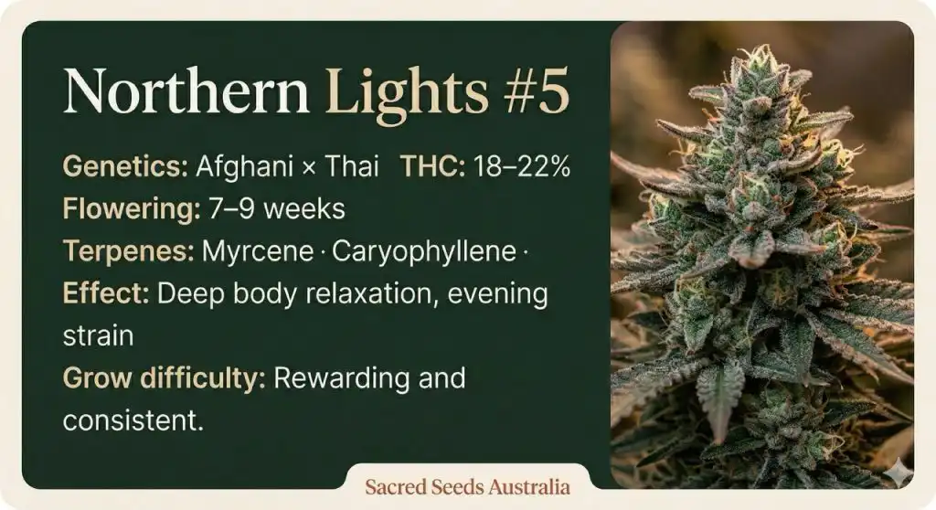 Northern Lights #5 strain info card β Afghani Thai genetics, 18β22% THC, 7β9 week flowering, myrcene terpene profile