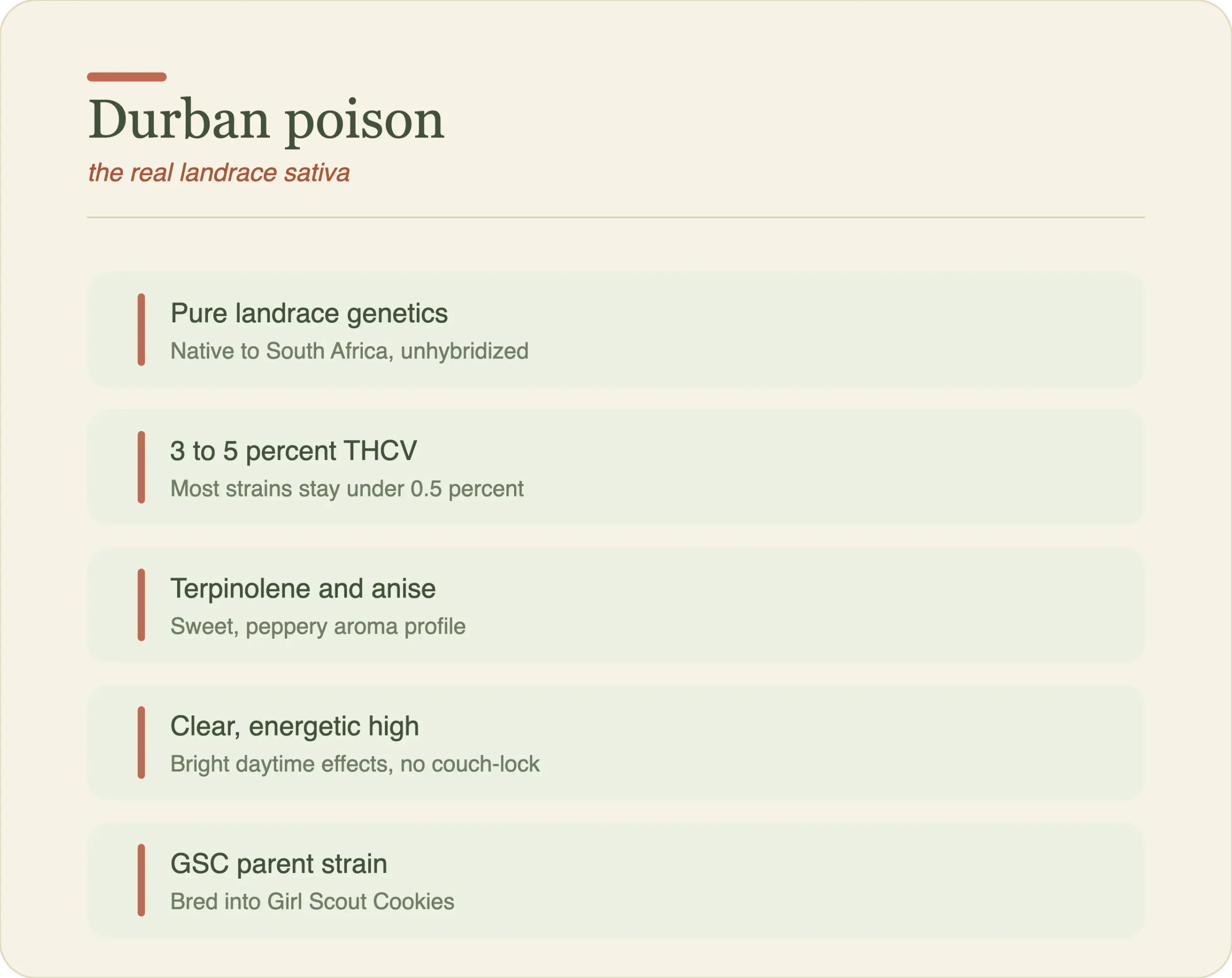 Infographic summarising the Durban Poison strain as a pure South African landrace sativa with 3 to 5 percent THCV, a terpinolene and anise profile, and a clear daytime high
