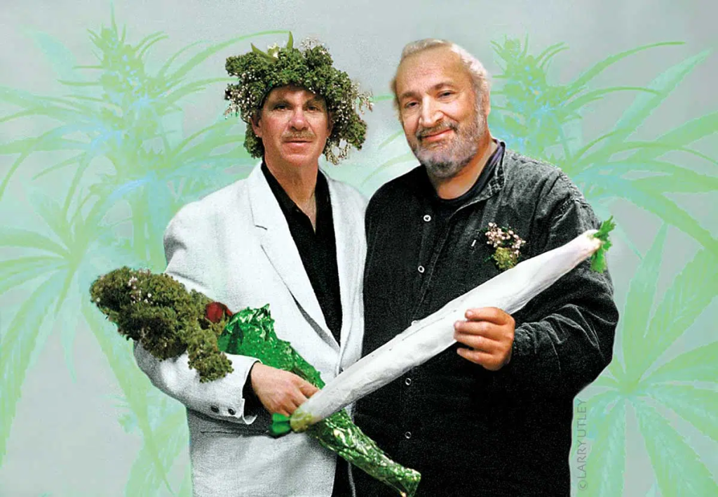 jack herer strain guide sacred seeds australia
