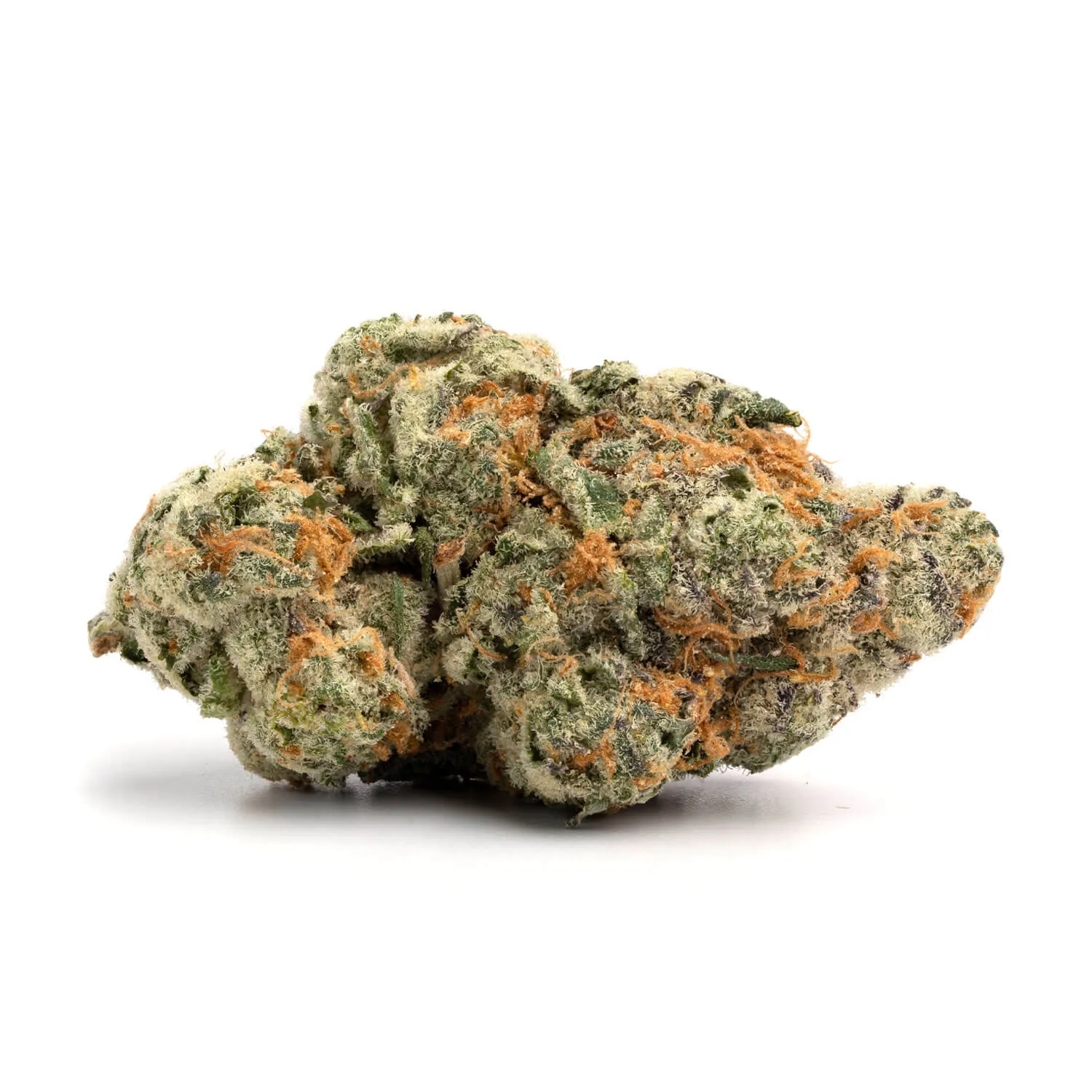uk cheese bud closeup sacred seeds