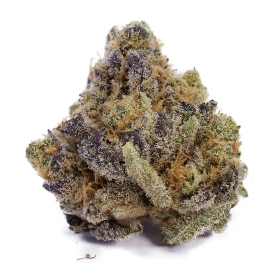 Pineapple Express strain flower with purple leaves, orange pistils and heavy trichome coverage